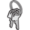 Llave de desbloqueo NICE