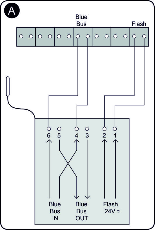 esquema de conexión IBW